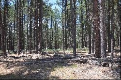 Lot 1 Block 2 Columbine Terrace, Angel Fire NM 87710