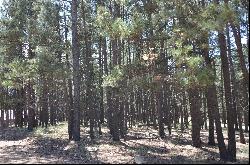 Lot 1 Block 2 Columbine Terrace, Angel Fire NM 87710