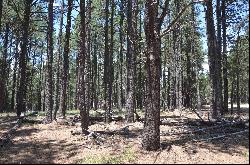 Lot 1 Block 2 Columbine Terrace, Angel Fire NM 87710