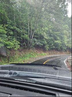 Lot 2119 Newport Dr, Ellijay GA 30540