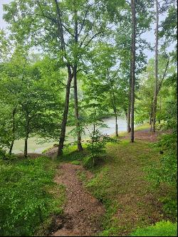 Lot 2119 Newport Dr, Ellijay GA 30540