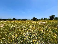 335+/- Acres Llano River Ranch, Llano County, Llano , TX 78643