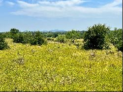 335+/- Acres Llano River Ranch, Llano County, Llano , TX 78643