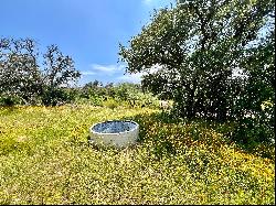 335+/- Acres Llano River Ranch, Llano County, Llano , TX 78643