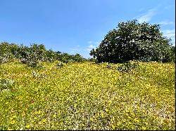 335+/- Acres Llano River Ranch, Llano County, Llano , TX 78643