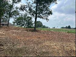 7 ACRES tbd County Road 2169, Troup TX 75789