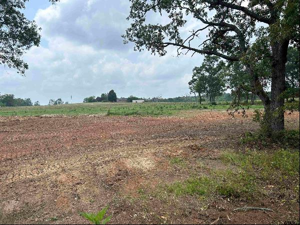 7 ACRES tbd County Road 2169, Troup TX 75789