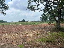 7 ACRES tbd County Road 2169, Troup TX 75789