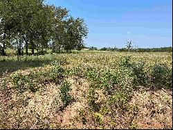 7 ACRES tbd County Road 2169, Troup TX 75789