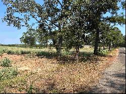 7 ACRES tbd County Road 2169, Troup TX 75789