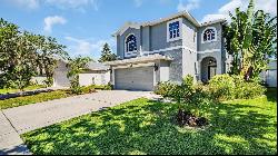 1807 Split Fork Drive, Oldsmar FL 34677