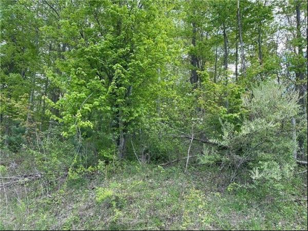 Lot 102 Lakewood Road, Unity Twp PA 15601