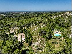 Exceptional property for sale in the heart of the Alpilles