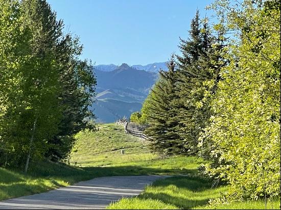 12694 STATE HIGHWAY 75, Ketchum, ID, 83340, USA