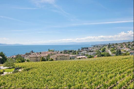 Rare luxury apartment overlooking vineyards, lake and mountains!