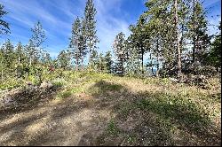 NNA Lot 2 Overlook Dr, Sagle, ID.