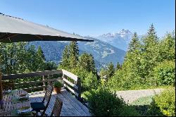 Spacious semi-detached chalet at Alpe des Chaux