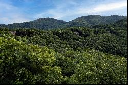 BLUE RIDGE MOUNTAIN CLUB - BOONE