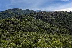 BLUE RIDGE MOUNTAIN CLUB - BOONE