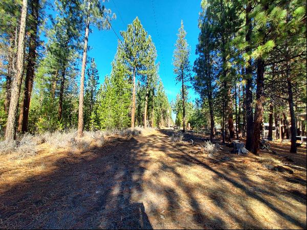 51608 Pine Loop Drive, La Pine OR 97739