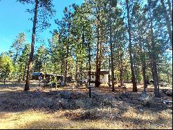 51608 Pine Loop Drive, La Pine OR 97739