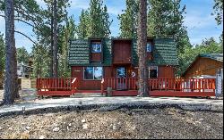 218 E Aeroplane Boulevard, Big Bear City CA 92314