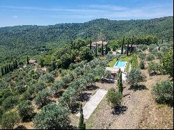 Private Villa for sale in Bucine (Italy)