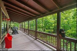 67 Tomahawk Trail, Cherry Log GA 30522