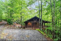 67 Tomahawk Trail, Cherry Log GA 30522