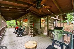 67 Tomahawk Trail, Cherry Log GA 30522