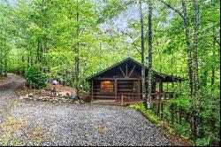 67 Tomahawk Trail, Cherry Log GA 30522