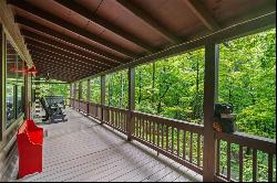 67 Tomahawk Trail, Cherry Log GA 30522