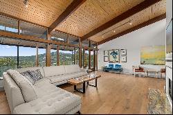 Mid-Century Modern with Panoramic Views in Westlake Hills