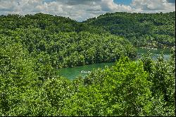 Wild Blackberry Ridge