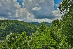 Wild Blackberry Ridge