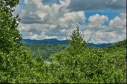 Wild Blackberry Ridge