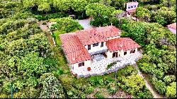 Private Villa for sale in Castiglione Della Pescaia (Italy)