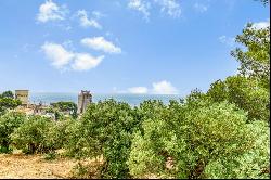 4460 m² Buildable Land in Beausoleil - Unique Opportunity