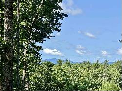 52 Sawmill Road, Greenfield NH 03047