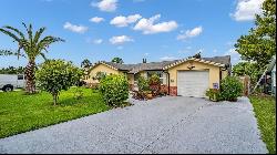 8717 Velvet Drive, Port Richey FL 34668