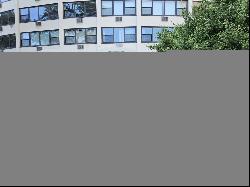 1150 N LAKE SHORE Drive #20F, Chicago IL 60611