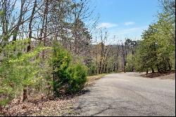 0 Autumn Sweet Drive, Clarkesville GA 30523