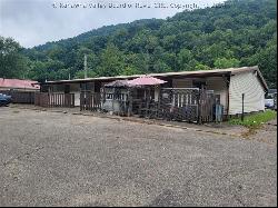 1 Nelson Court, Belle WV 25015