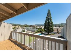 25 NW Mountain View Dr, Roseburg OR 97471