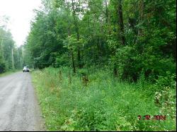 Lot 3-12 Shady Lane, Newport ME 04953