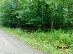 Lot 3-12 Shady Lane, Newport ME 04953