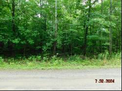 Lot 3-12 Shady Lane, Newport ME 04953