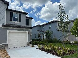 6149 Shiner Street, Land O Lakes FL 34638