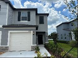 6149 Shiner Street, Land O Lakes FL 34638