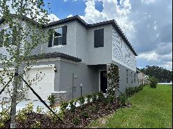 6149 Shiner Street, Land O Lakes FL 34638